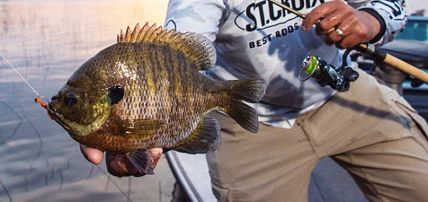 Go-To Jigs and Plastics for Panfish — Joel Nelson Outdoors