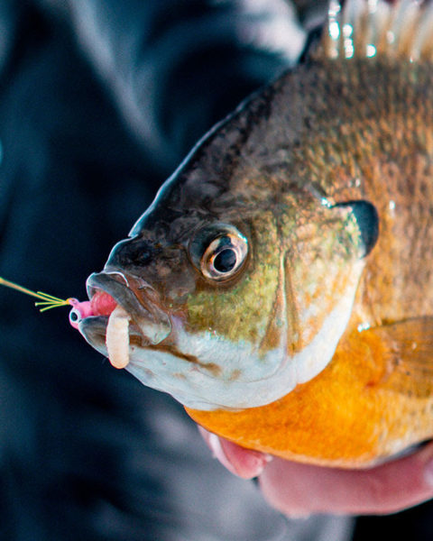 Tru Turn Panfish/Crappie Hook — Lake Pro Tackle