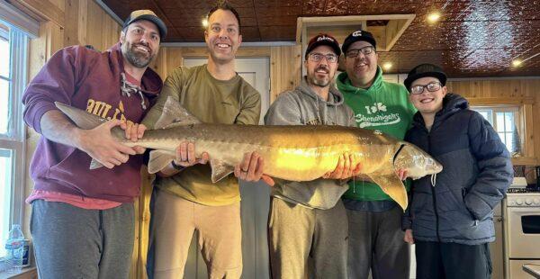 https://www.outdoorsfirst.com/icefishing/wp-content/uploads/sites/7/2024/01/5-guys-holding-sturgeon-inside-fish-house_Bostic-Bay-Luxury-Ice-Cabins_011424-600x310.jpg