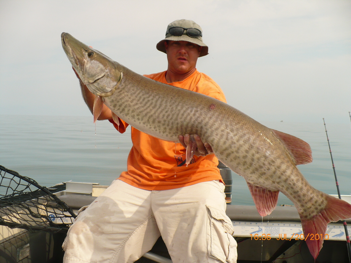 Big muskie caught on Lake St Clair in detroit, MI on 7/10/2010 ...