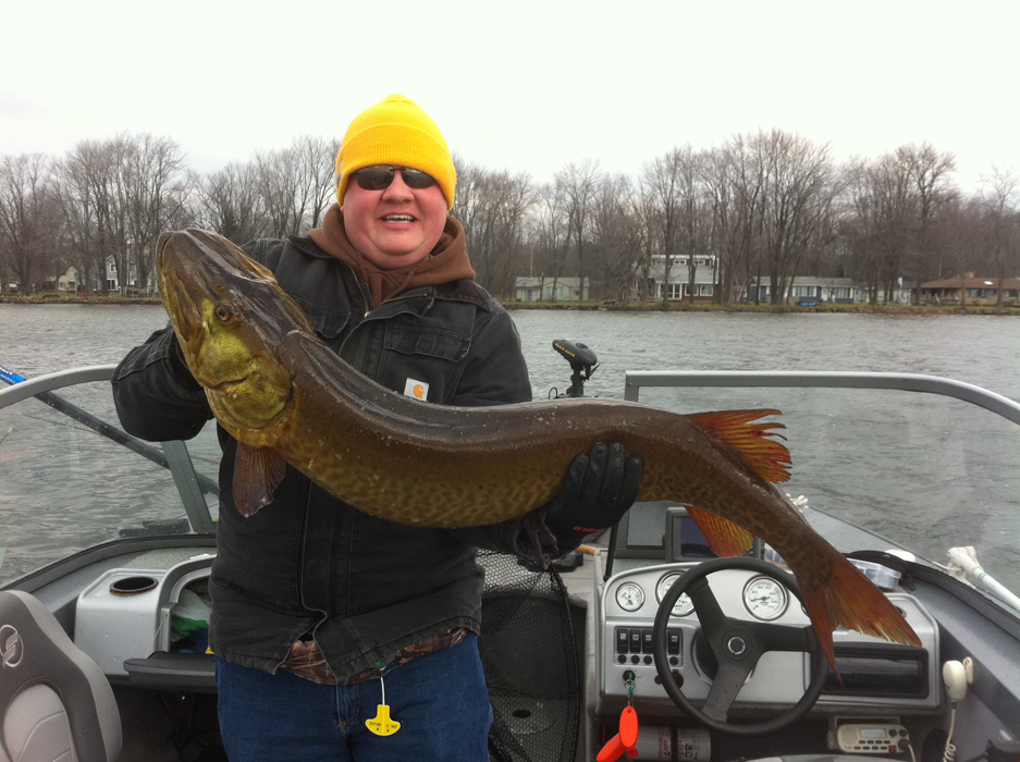 Big muskie caught on Chautauqua Lake in Chautauqua, NY on 11/10