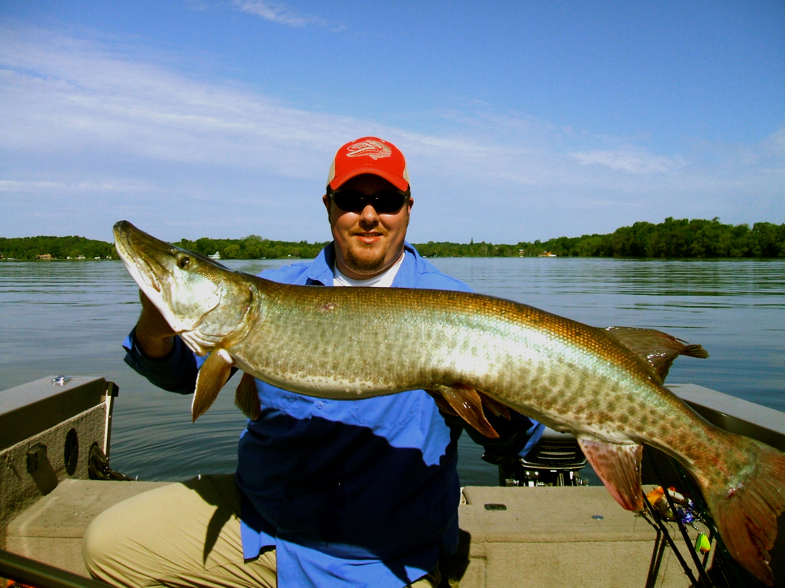 Big muskie caught on Lake X in City X, MN on 6/3/2012 | MuskieFIRST