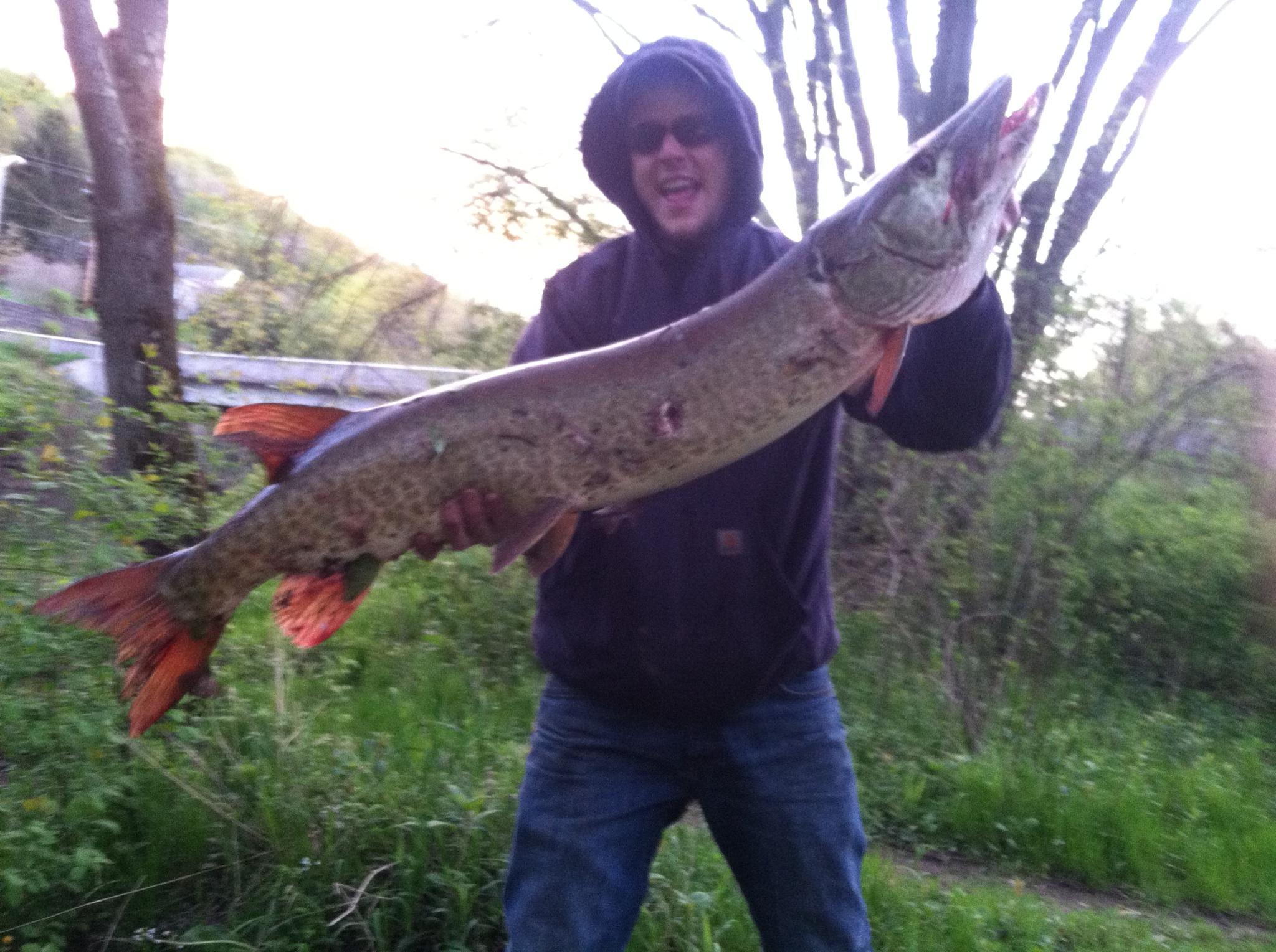 Holy muskie! King of Prussia fisherman makes surprise catch on Schuylkill