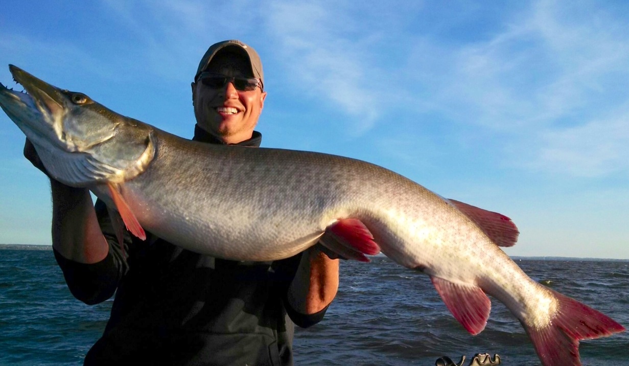 Big muskie caught on Lake Michigan - Green Bay in City X, WI on 10/8 ...