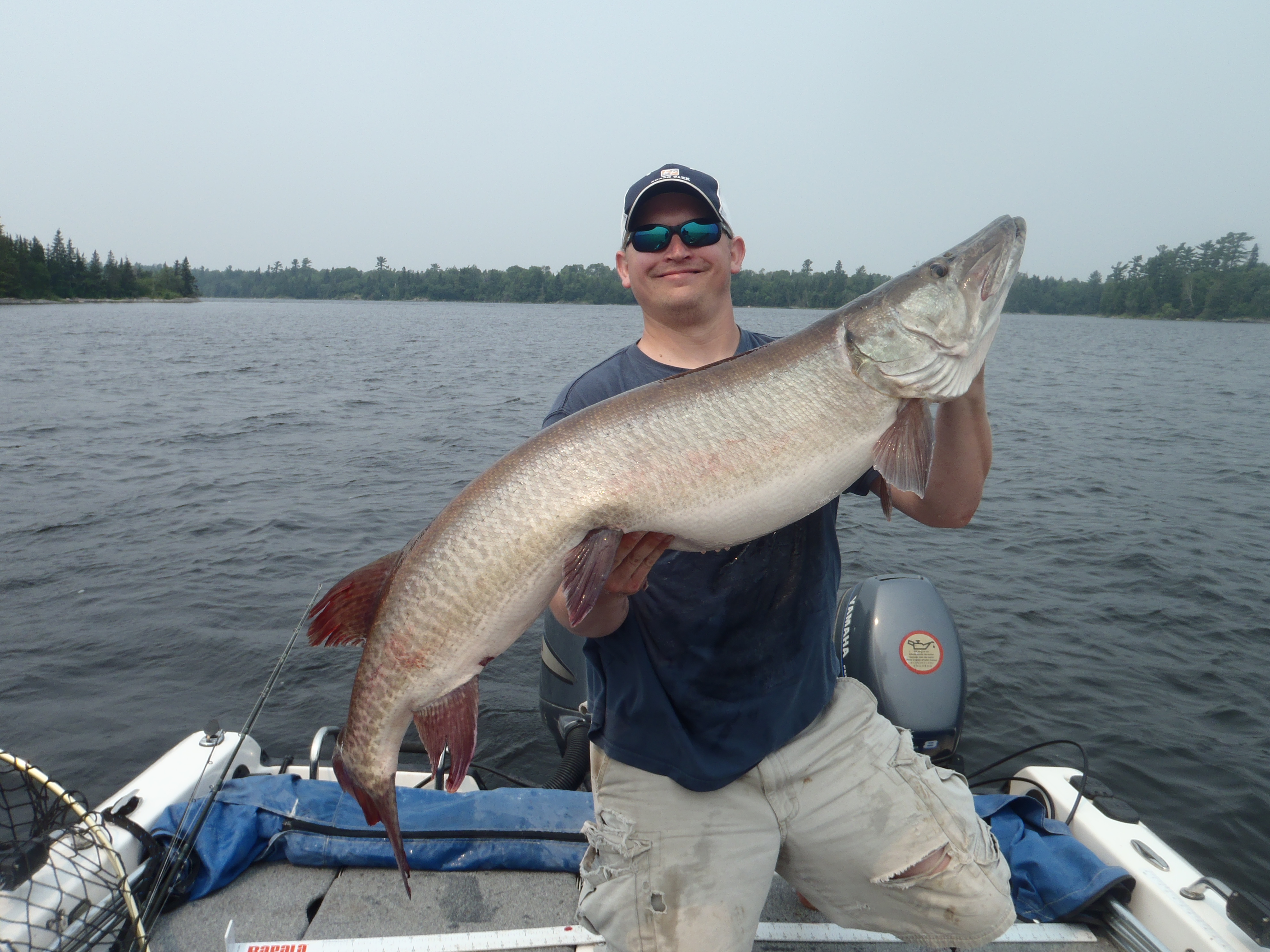 Big muskie caught on Lake of the Woods in Baudette, MN on 7/4/2015 ...