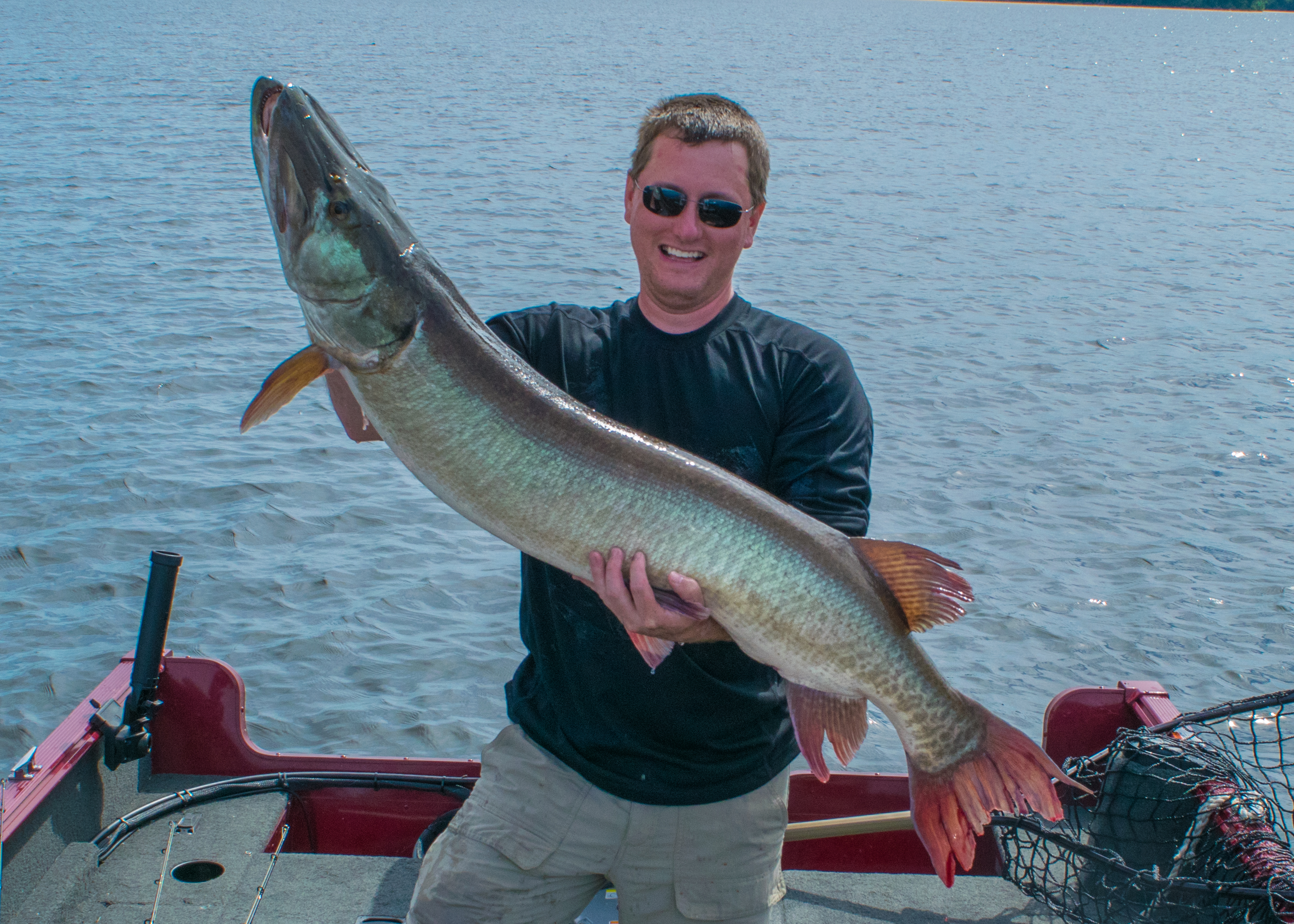 Big Muskie Caught On Lake Of The Woods In City X, On On 7 23 2015 