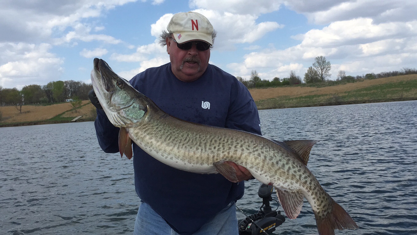 Big muskie caught on Lake X in Cedar Rapids, IA on 4/29/2015 | MuskieFIRST