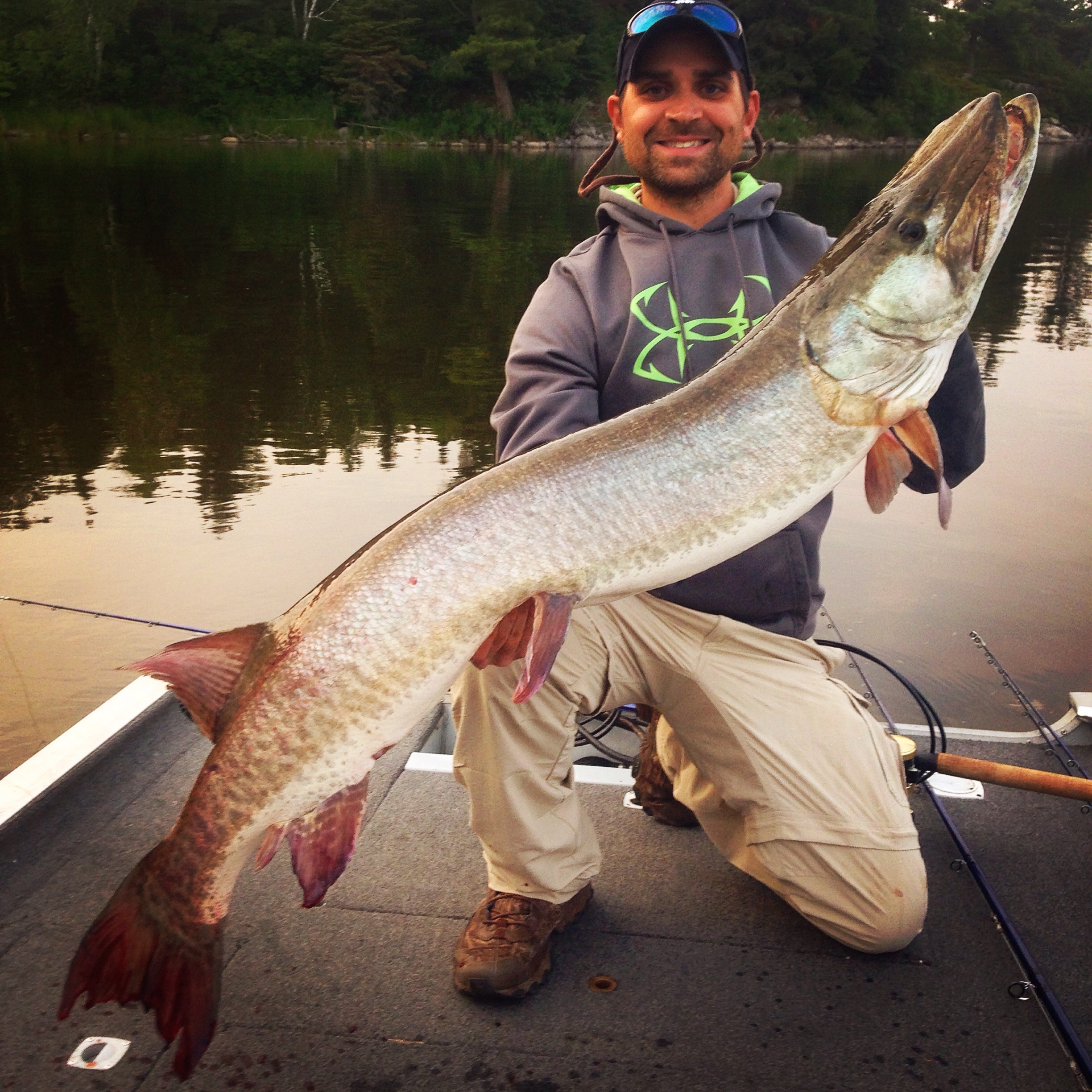 Big muskie caught on Lake of the Woods in NW Angle, SX on 6/30/2015