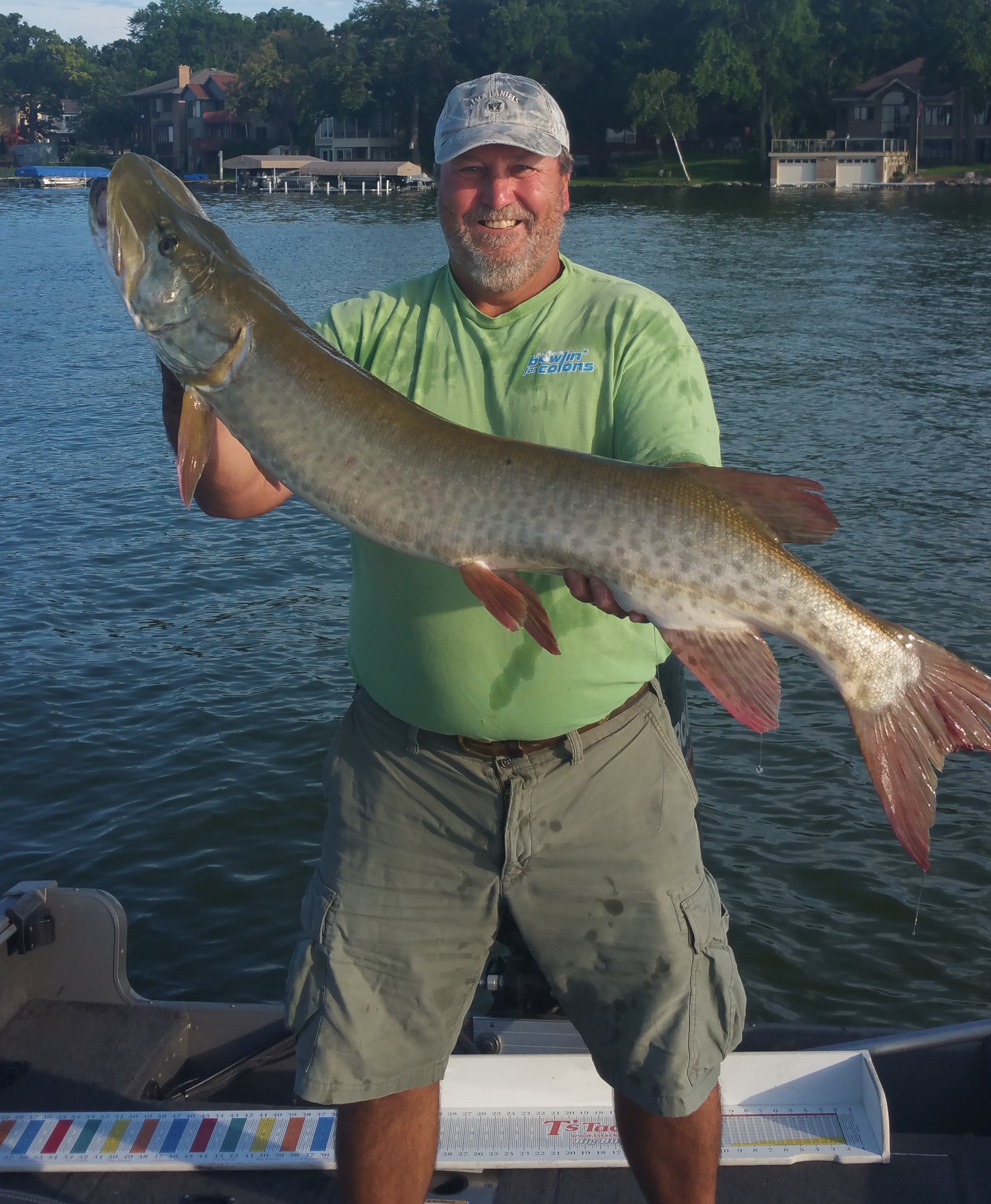 Big muskie caught on monona in madison, WI on 7/25/2017 | MuskieFIRST