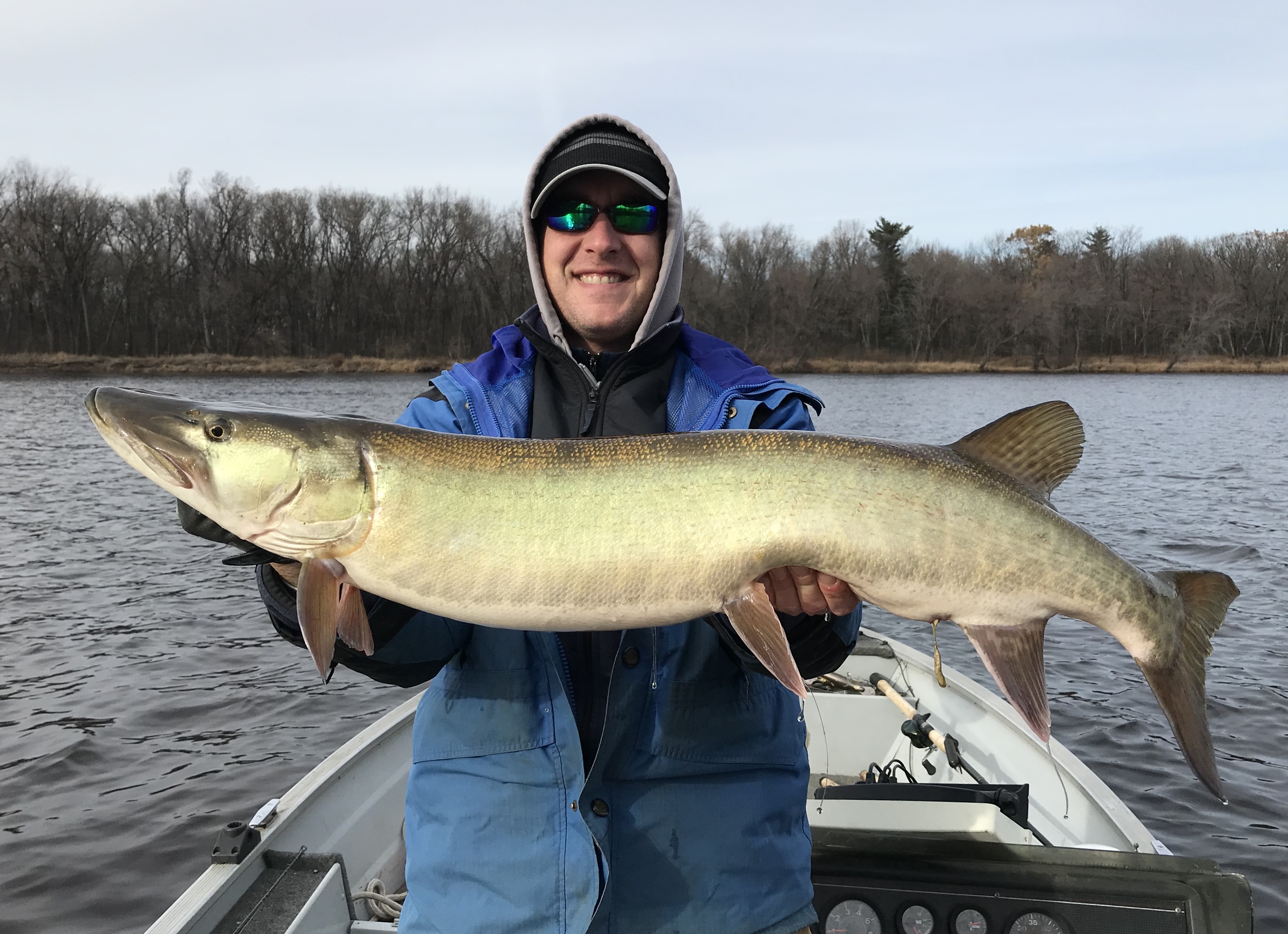 Big muskie caught on Wisconsin River in Stevens Point, WI on 12/3/2017