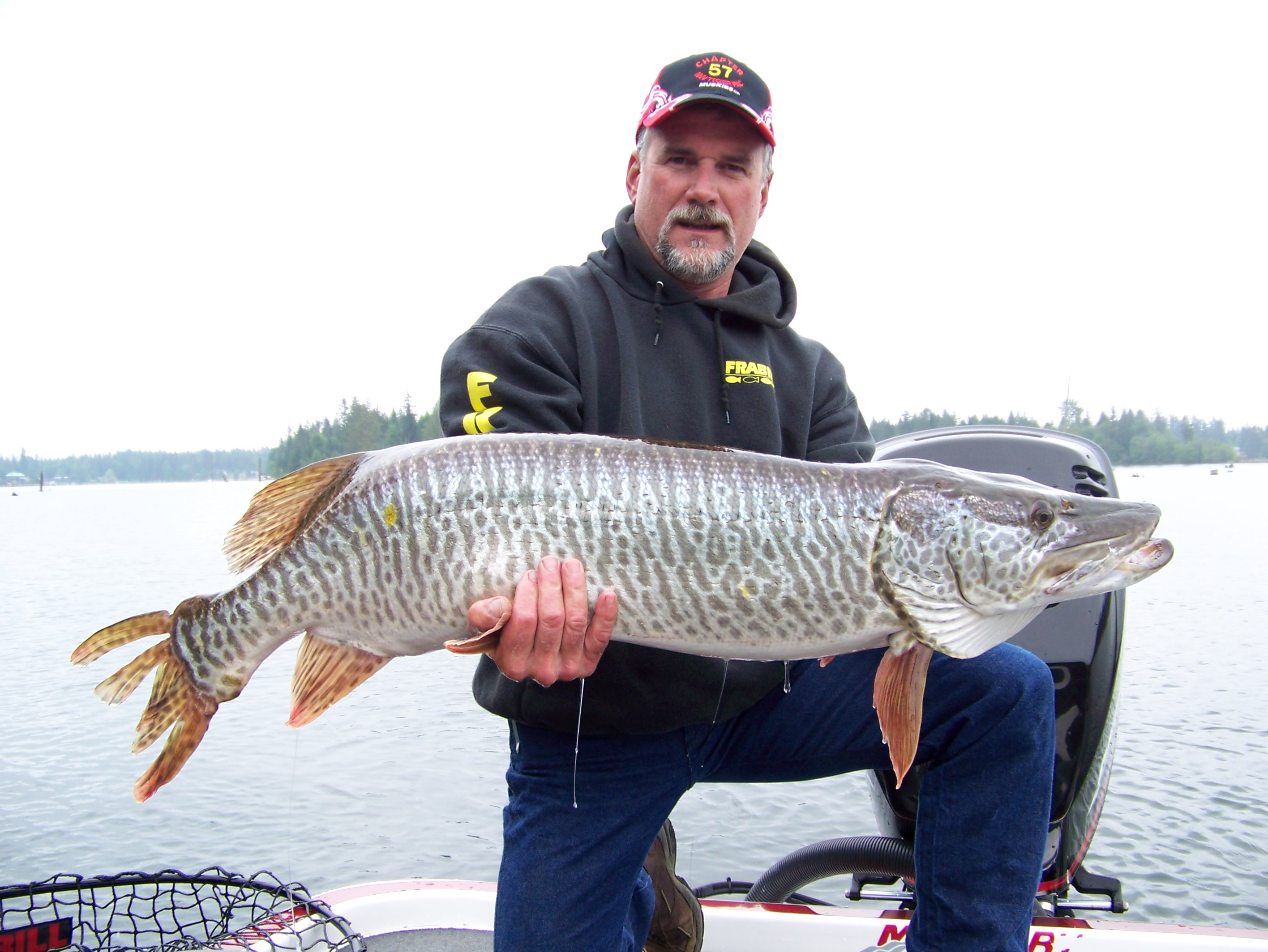 Big muskie caught on Lake Tapps in PUYALLLUP, WA on 5/26/2008 | MuskieFIRST