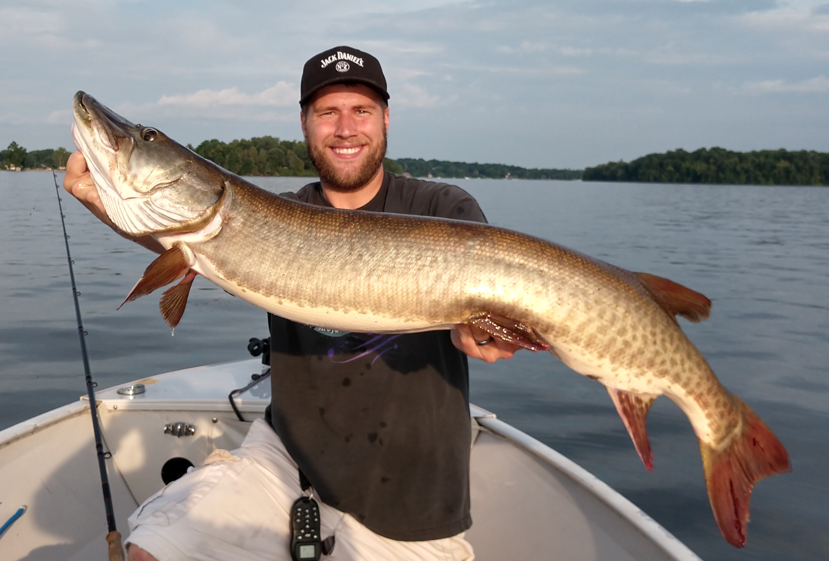 Big muskie caught on Lake in Excelsior, MN on 6/21/2018