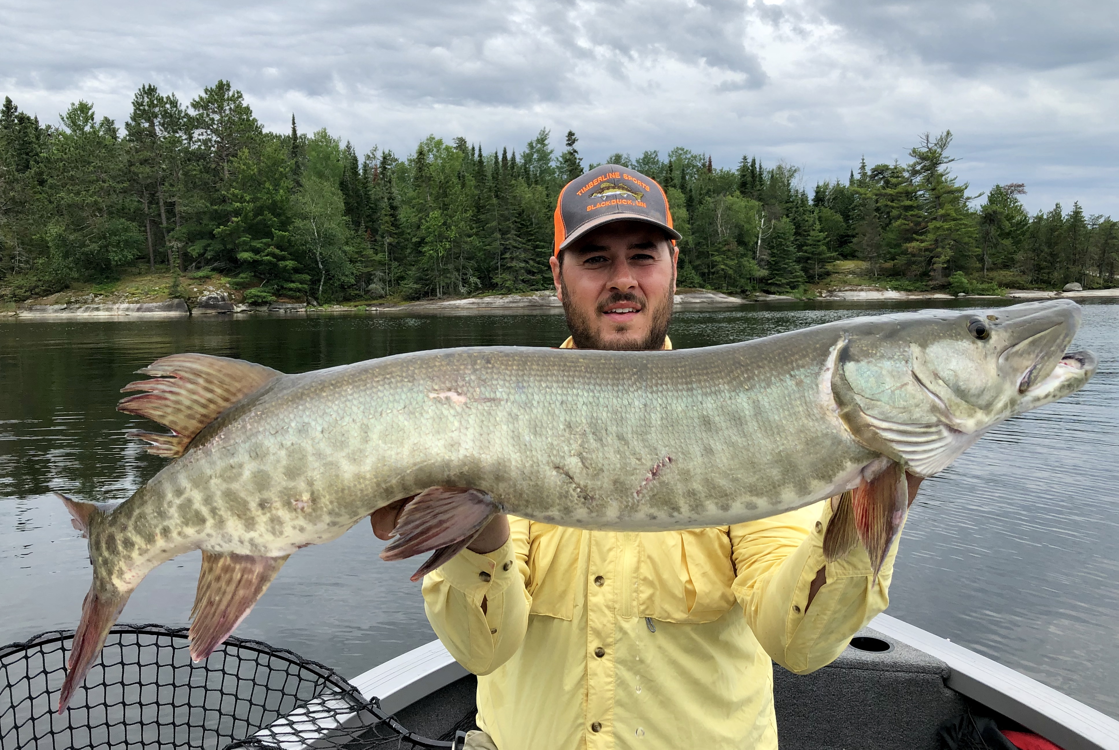 45 inch muskie on Big Sandy Lake in Minnesota on 07/18/2019 MuskieFIRST