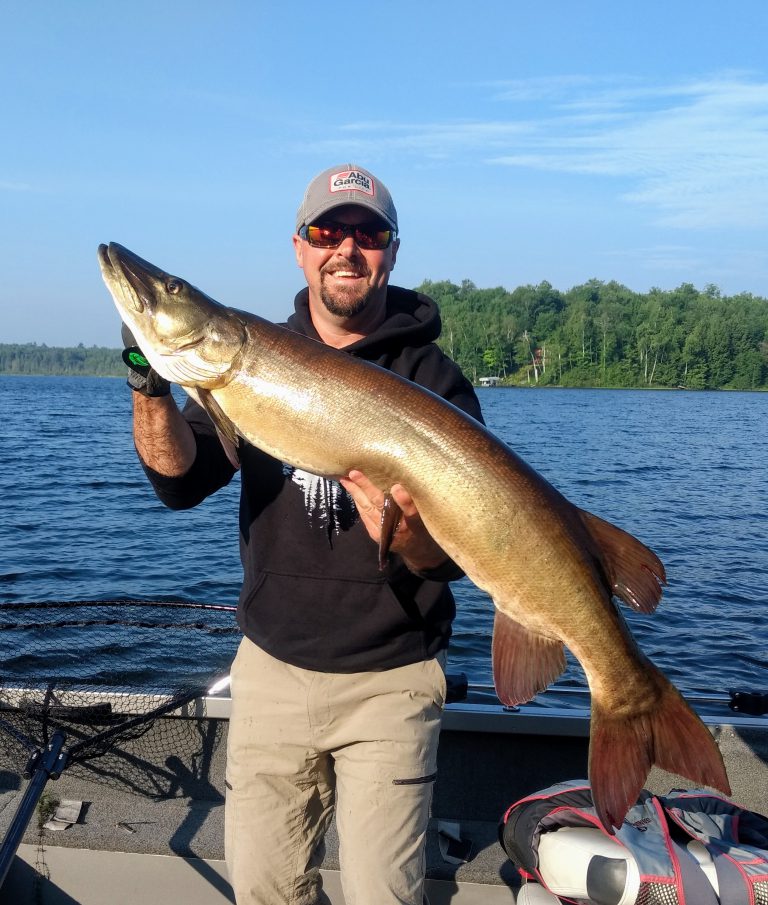 45.5 inch muskie on Oneida County Lake in Minocqua Wisconsin on 07/10