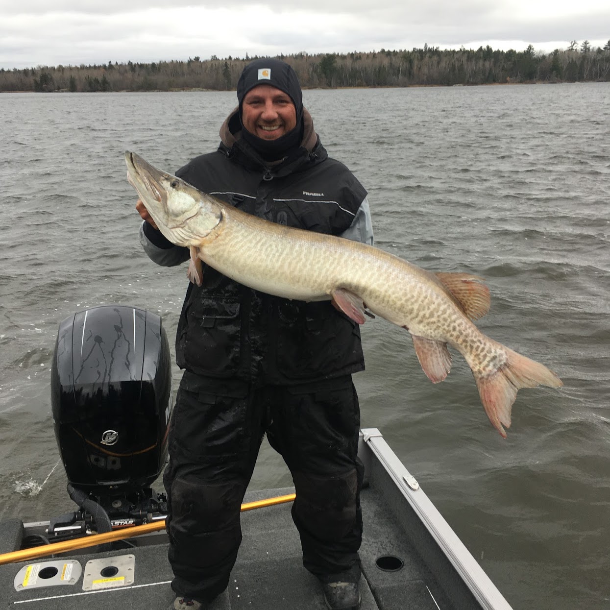 51 inch muskie on LOTW in Roseau Ontario on 10/27/2019 | MuskieFIRST