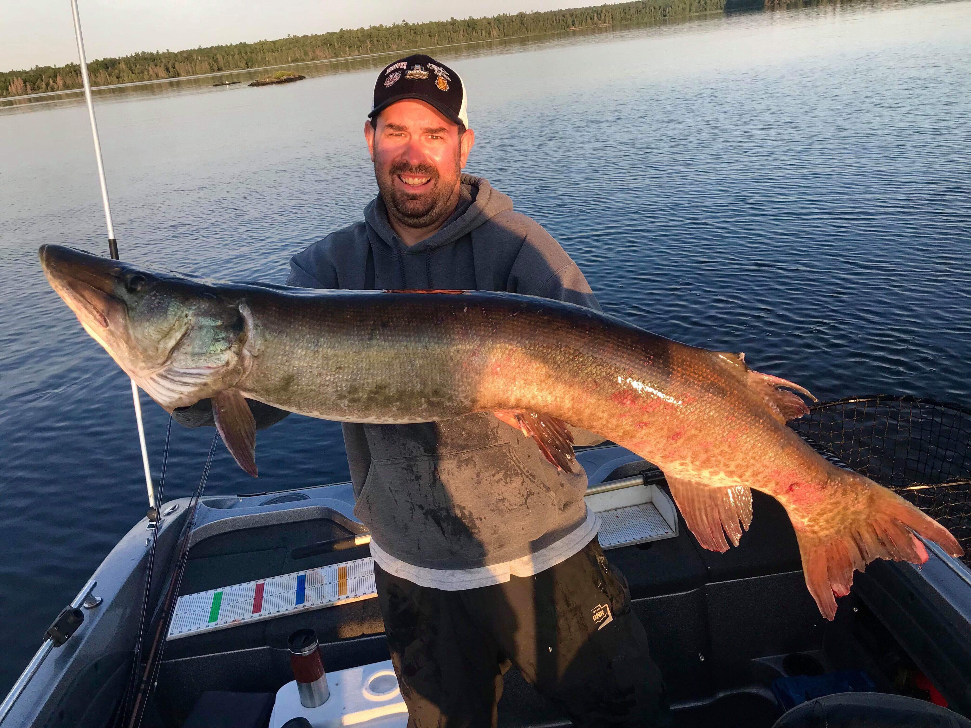 50 inch muskie on Vermilion in Minnesota on 08/01/2019 MuskieFIRST