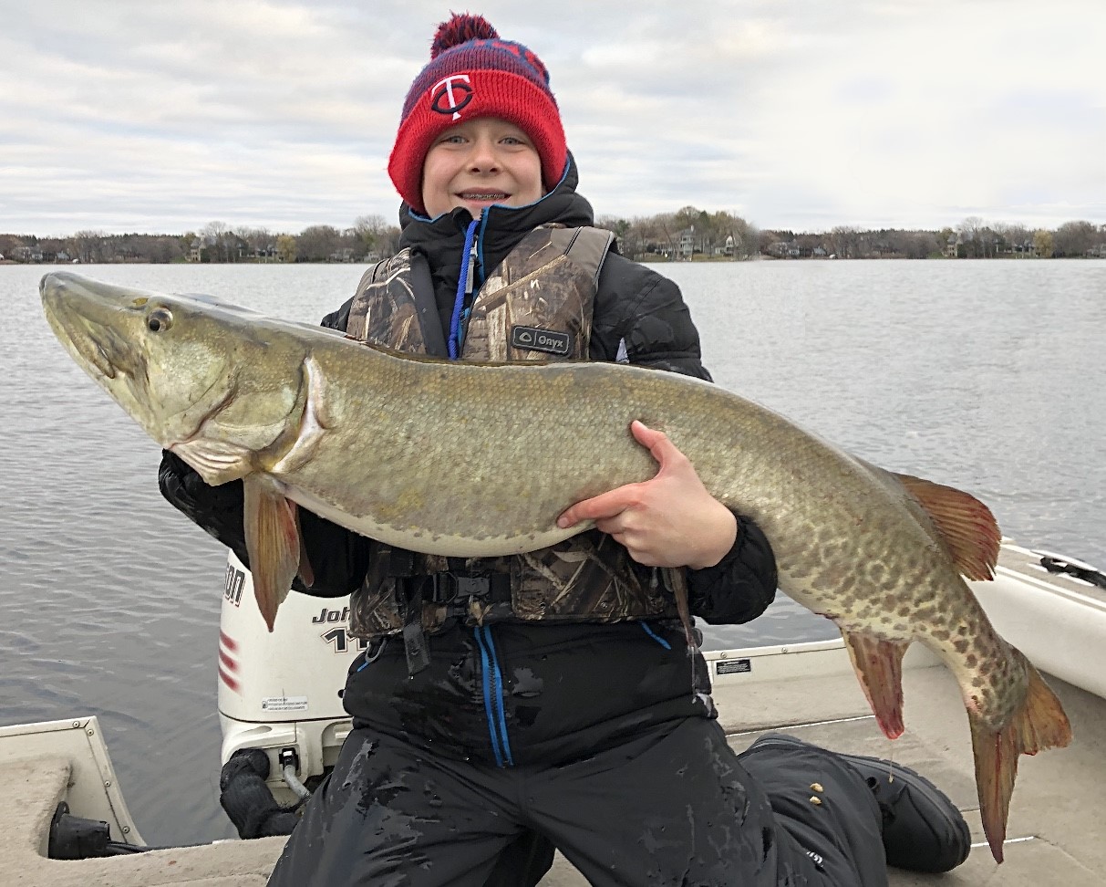 50.75 Inch Muskie On Metro Lake In Minneapolis Minnesota On 11 02 2019 