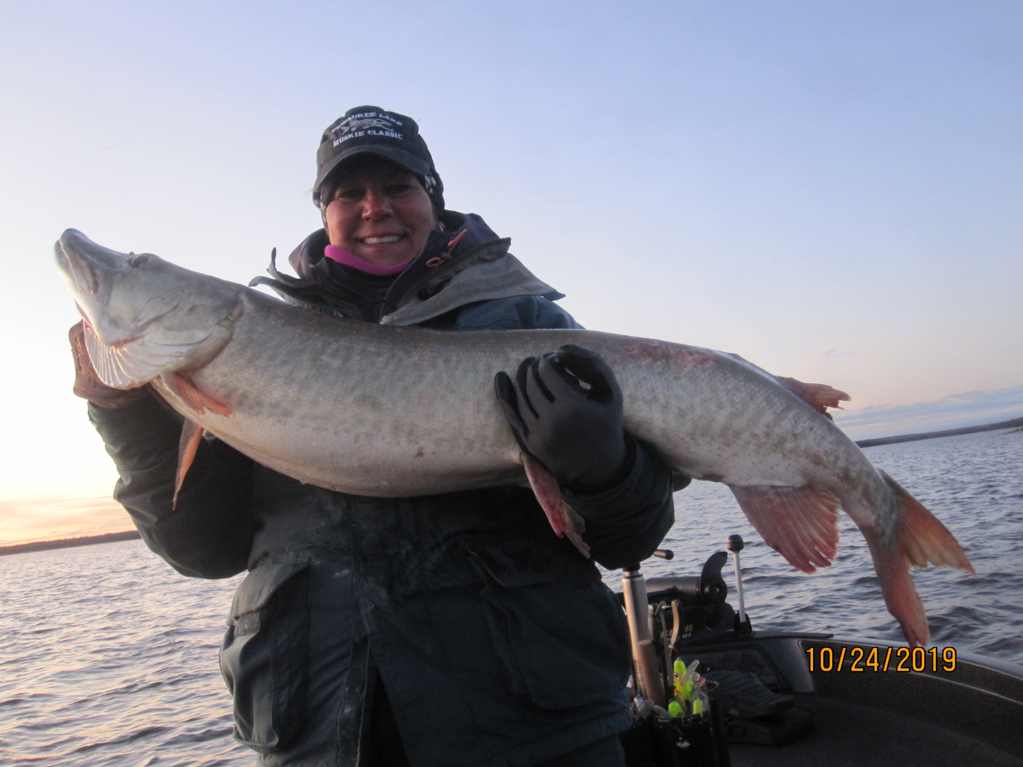 50 inch muskie on lotw in roseau Ontario on 10/24/2019 MuskieFIRST