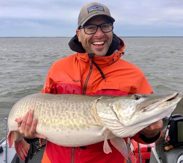 50 inch muskie on Green Bay in Green Bay Illinois on 10/14/2020