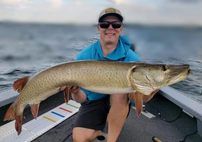 53.5 inch muskie on Lake X in X Minnesota on 08/06/2020 | MuskieFIRST