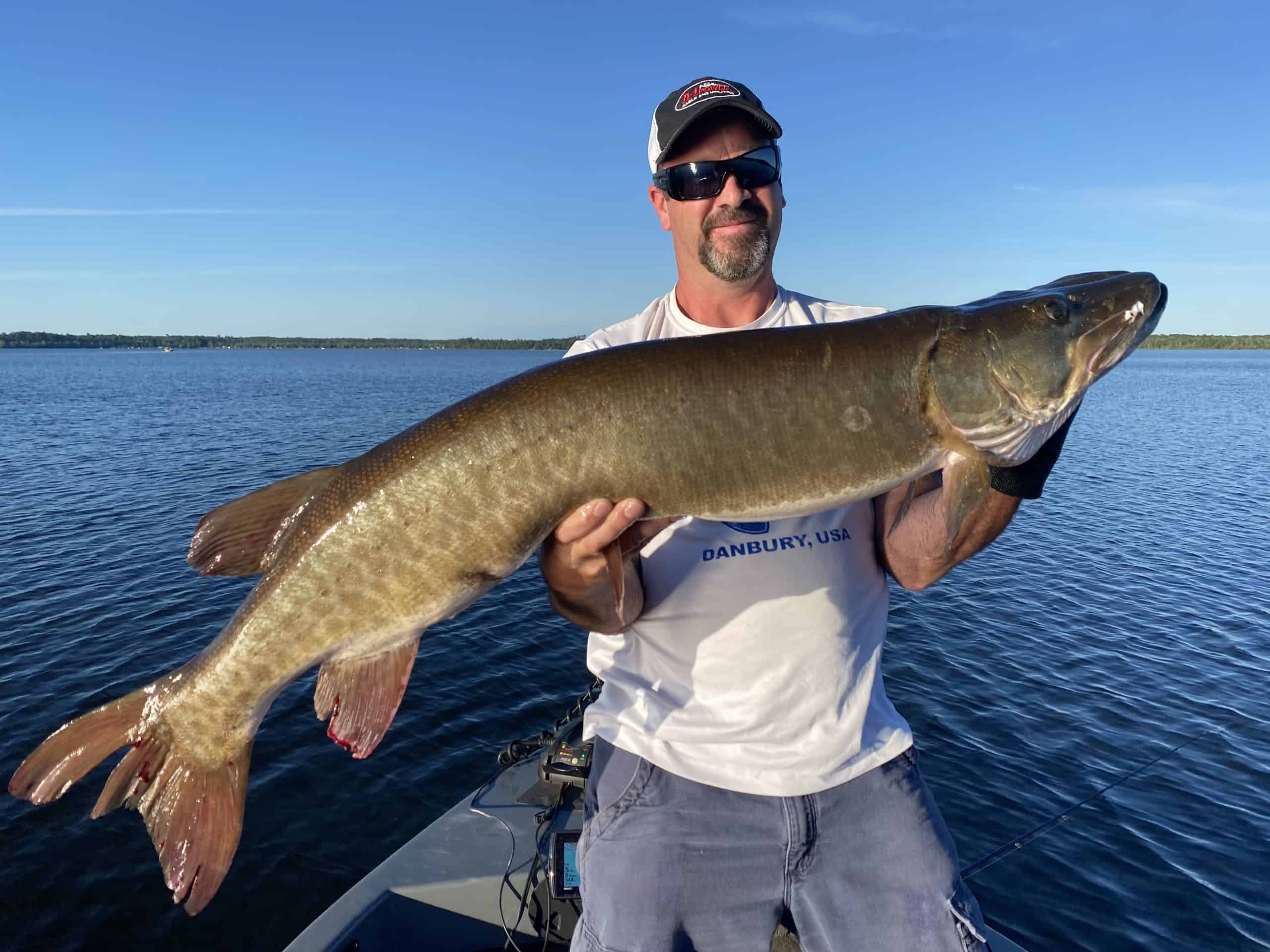 46 inch muskie on Lake x in Spooner Wisconsin on 06/22/2021 MuskieFIRST