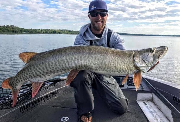 Musky Shop Northwoods Fishing Report - Early August