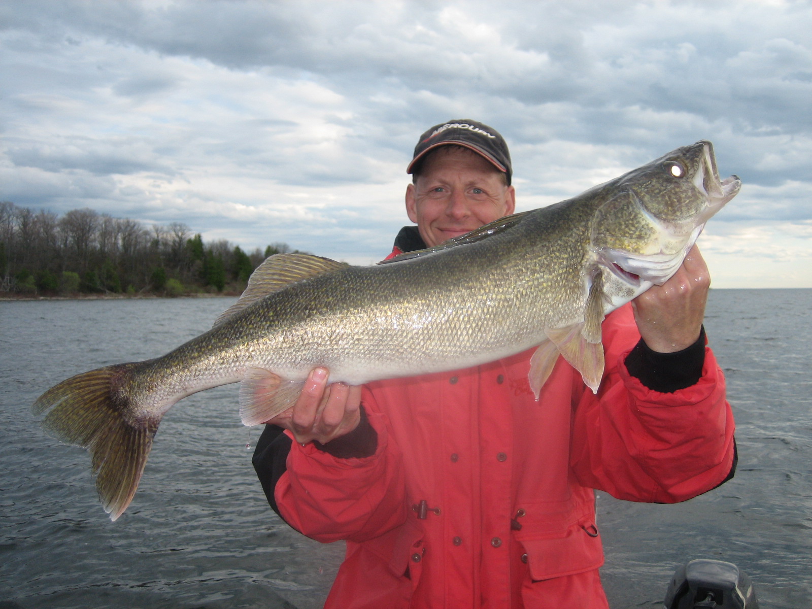 Big Walleye caught on Lake Michigan Little Bay de Noc in Green Bay