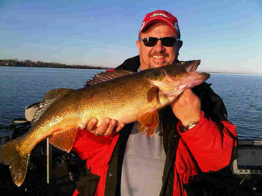 Big Walleye caught on Bay of Quinte in Picton,, ON on 11/12/2010 ...