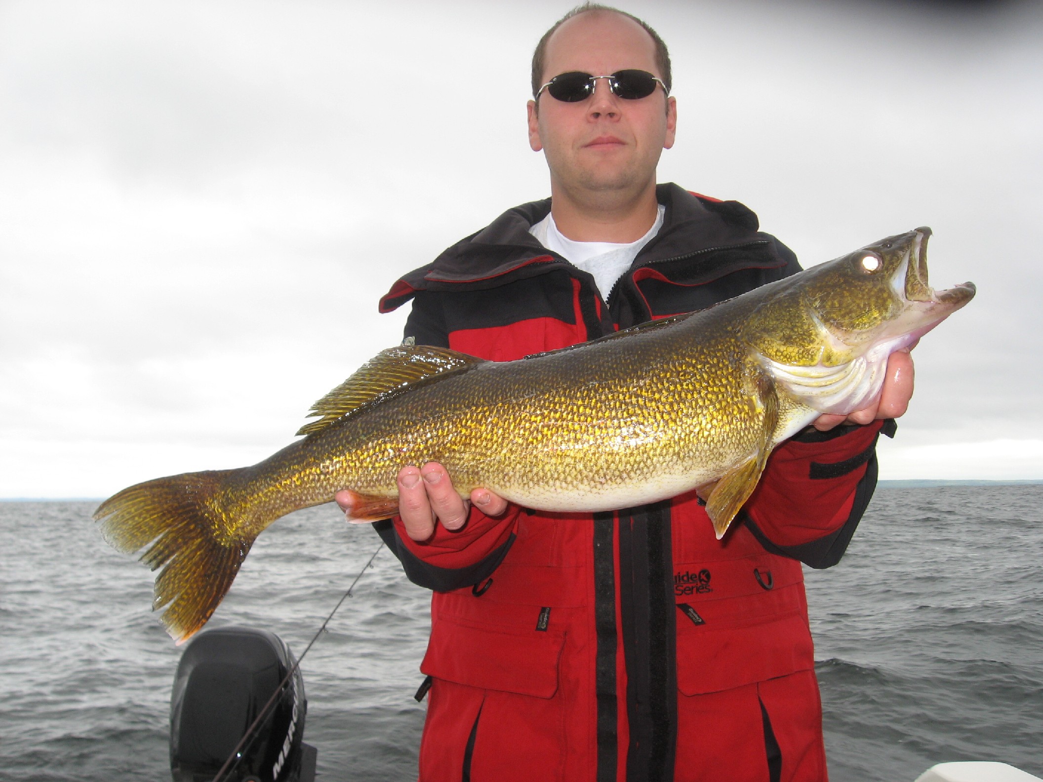 Big Walleye Caught On Lake Michigan Green Bay In Green Bay Wi On 8 27 2011 Walleyefirst