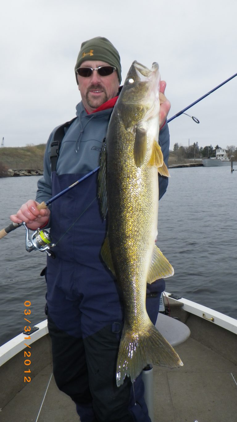 Big Walleye caught on Menominee River in Marinette, WI, WI on 3/31/2012 ...