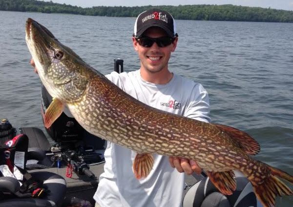 Thermocline pattern pike and walleyes | WalleyeFIRST