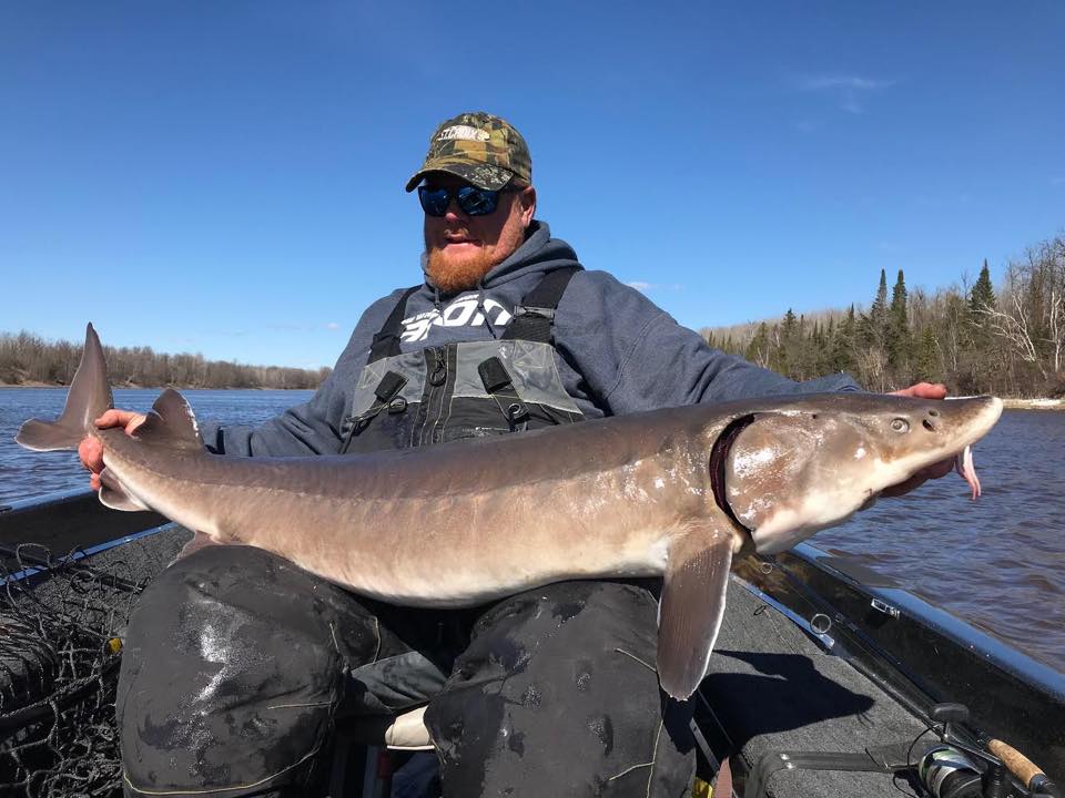 Lake of the Woods MN Fishing Report 11/14 2022