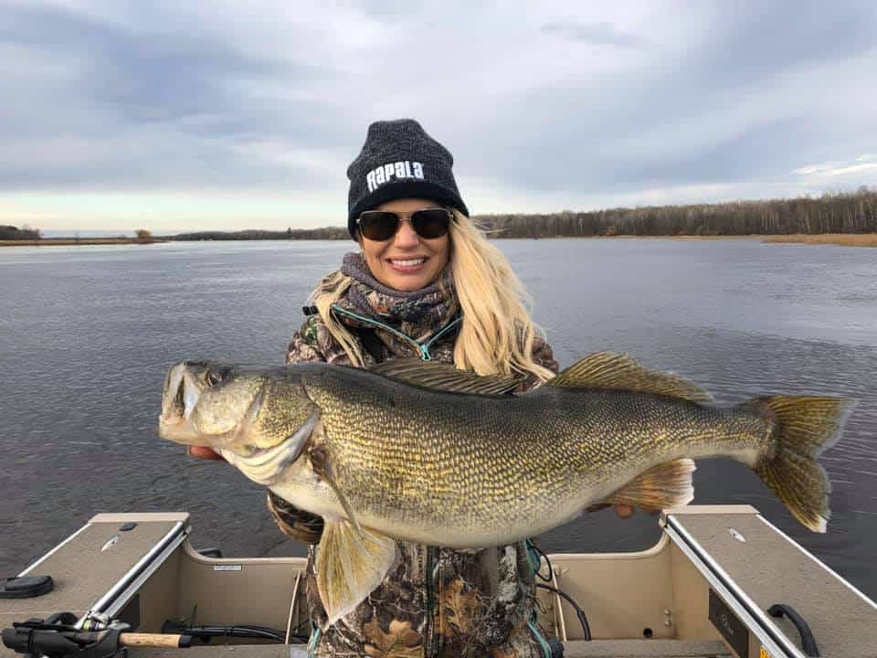 Big Fall Walleyes on the Rainy River WalleyeFIRST