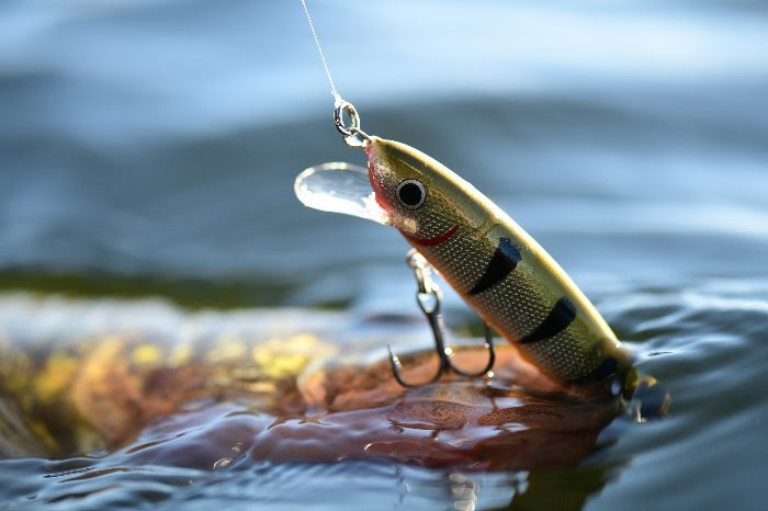 https://www.outdoorsfirst.com/walleye/wp-content/uploads/sites/2/2022/08/unnamed-33.jpg