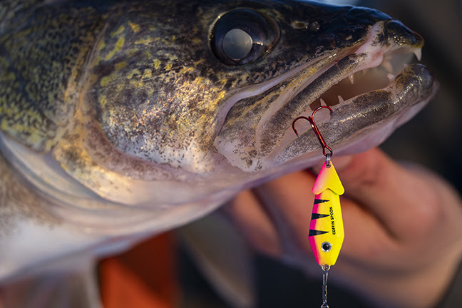 Northern Pike and the Spoon Bite: Establishing a Fishing Strategy