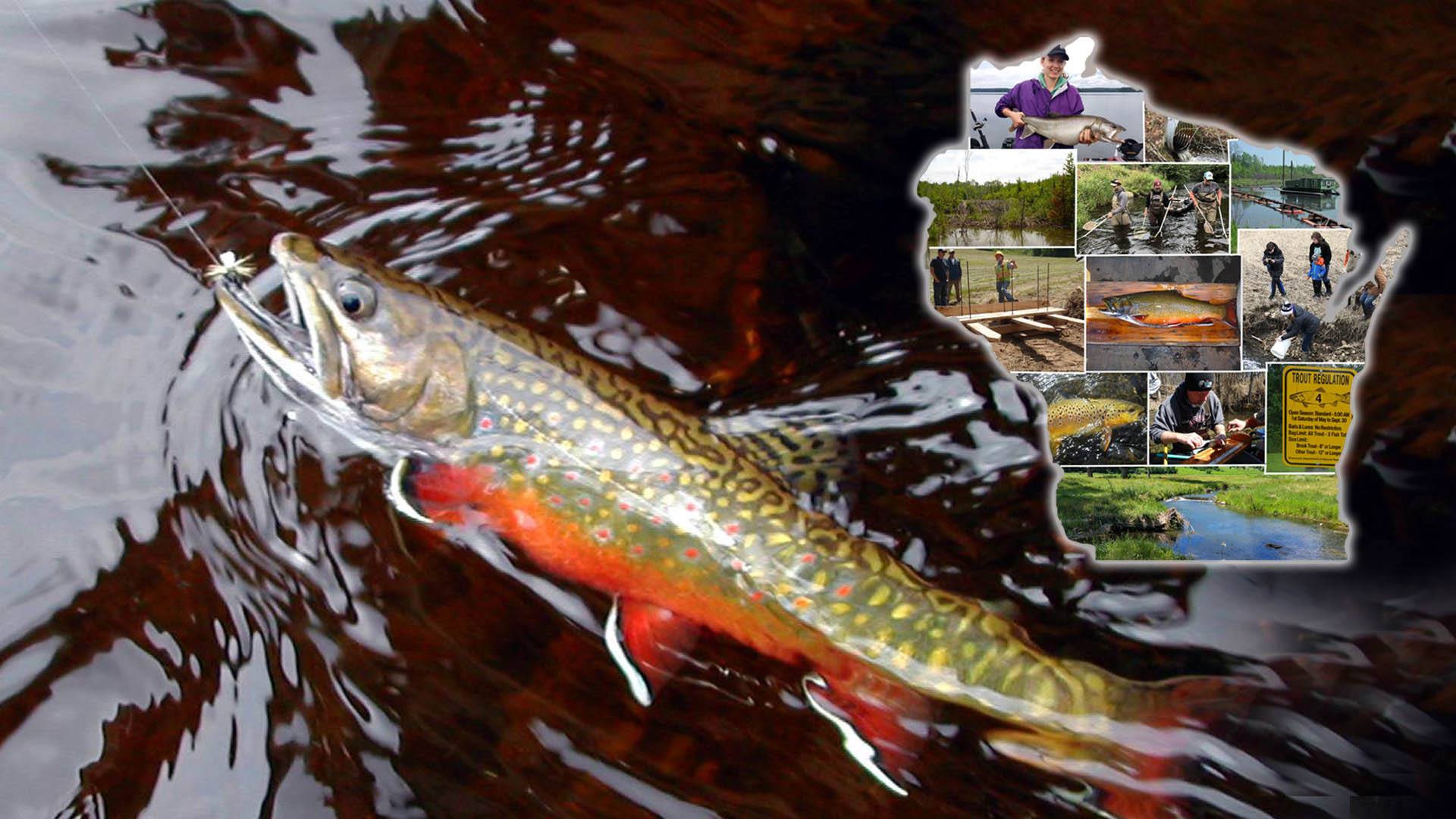 Wisconsin DNR Inland Trout Management Plan OutdoorsFIRST