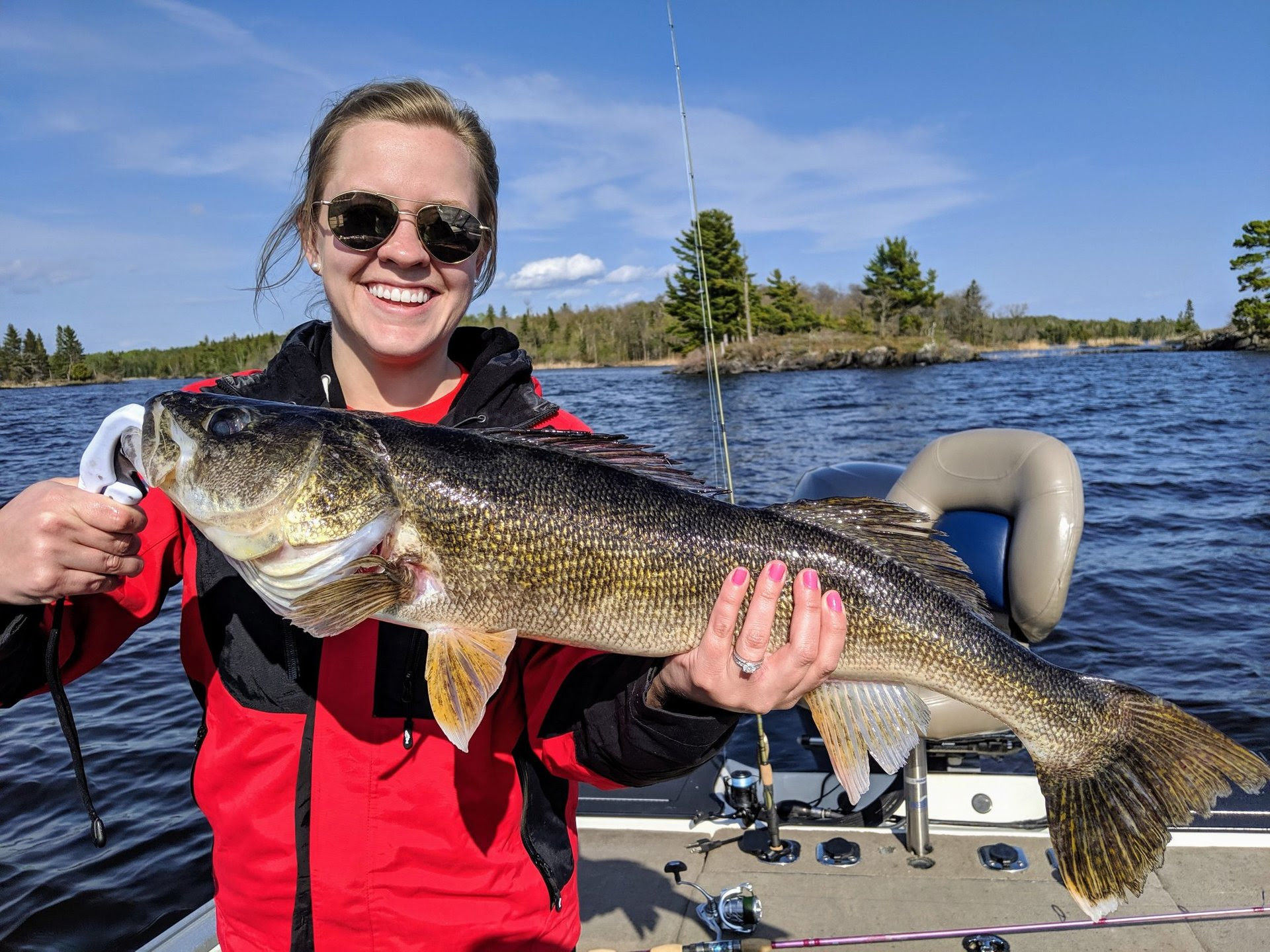 Angler catches walleye of a lifetime on Lake of the Woods MN