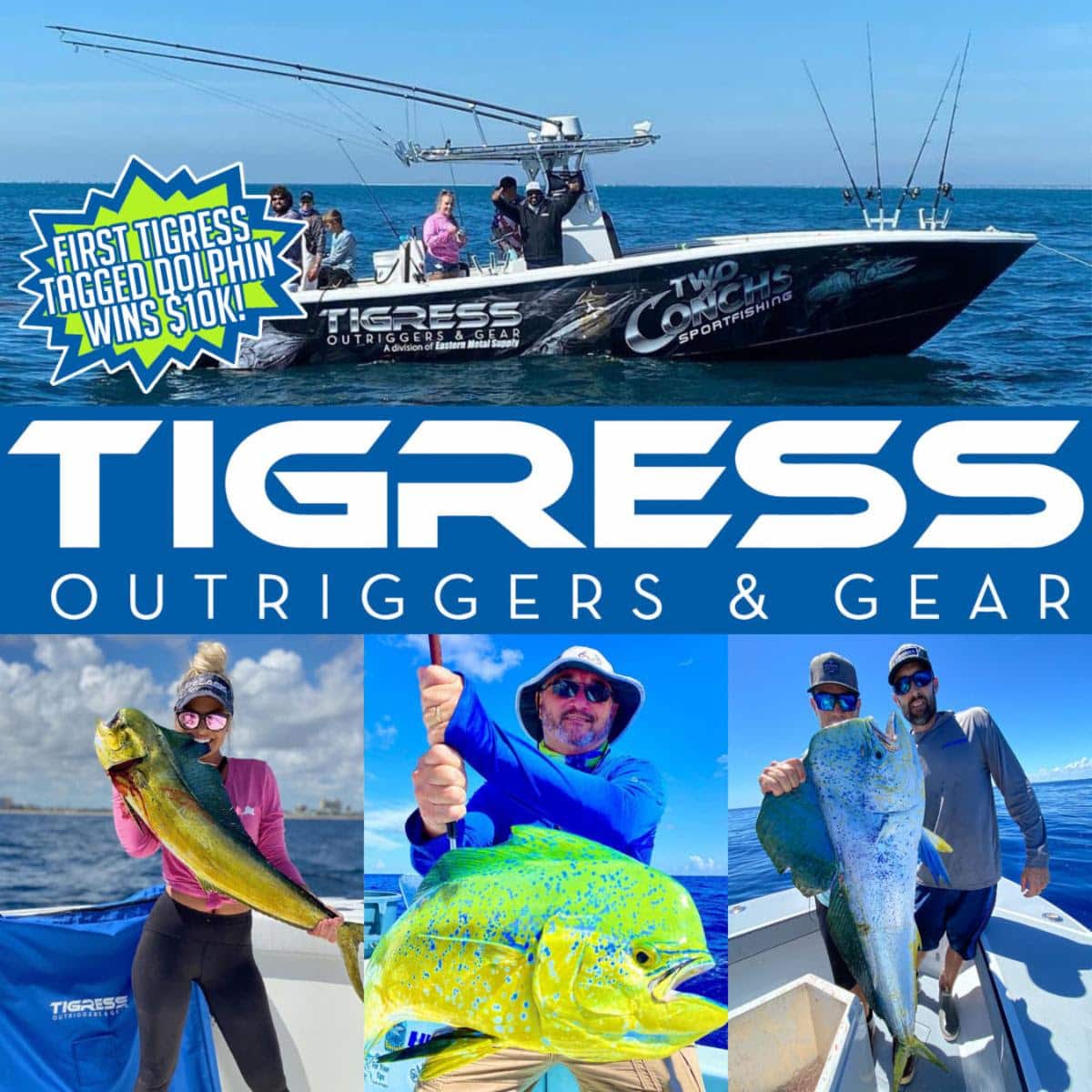 Catch the First TigressTagged Dolphin in the CCA Florida STAR