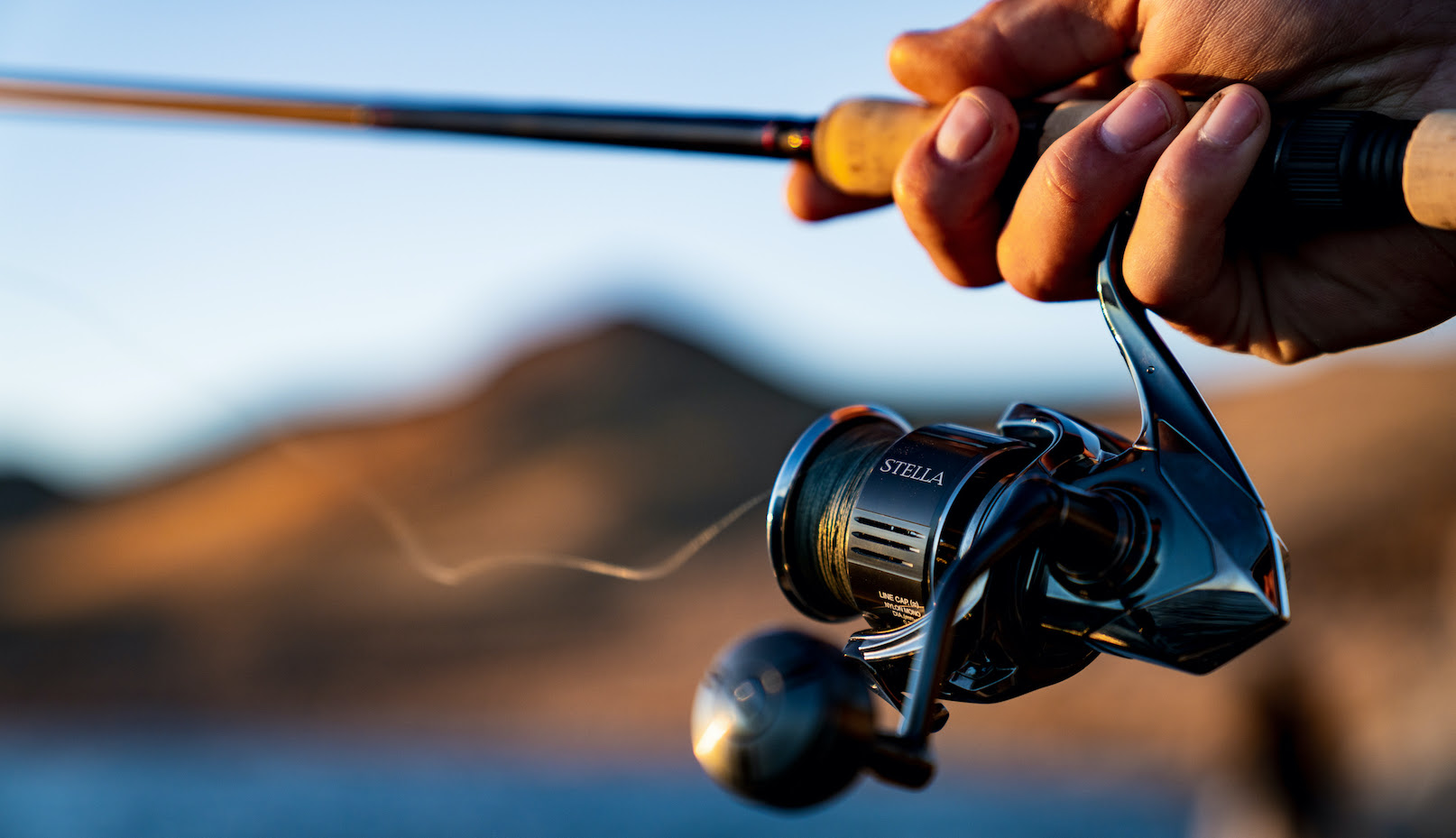 The New Shimano Stella FK: A Superlative Product of Infinite Evolution ...