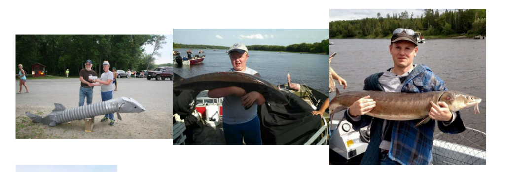 31st Annual North American Sturgeon Championship Open To The Public