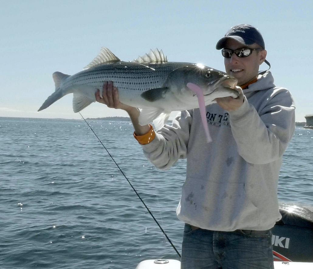 Bait vs. Lures Take II - Which is Best for Striped Bass? - Texas