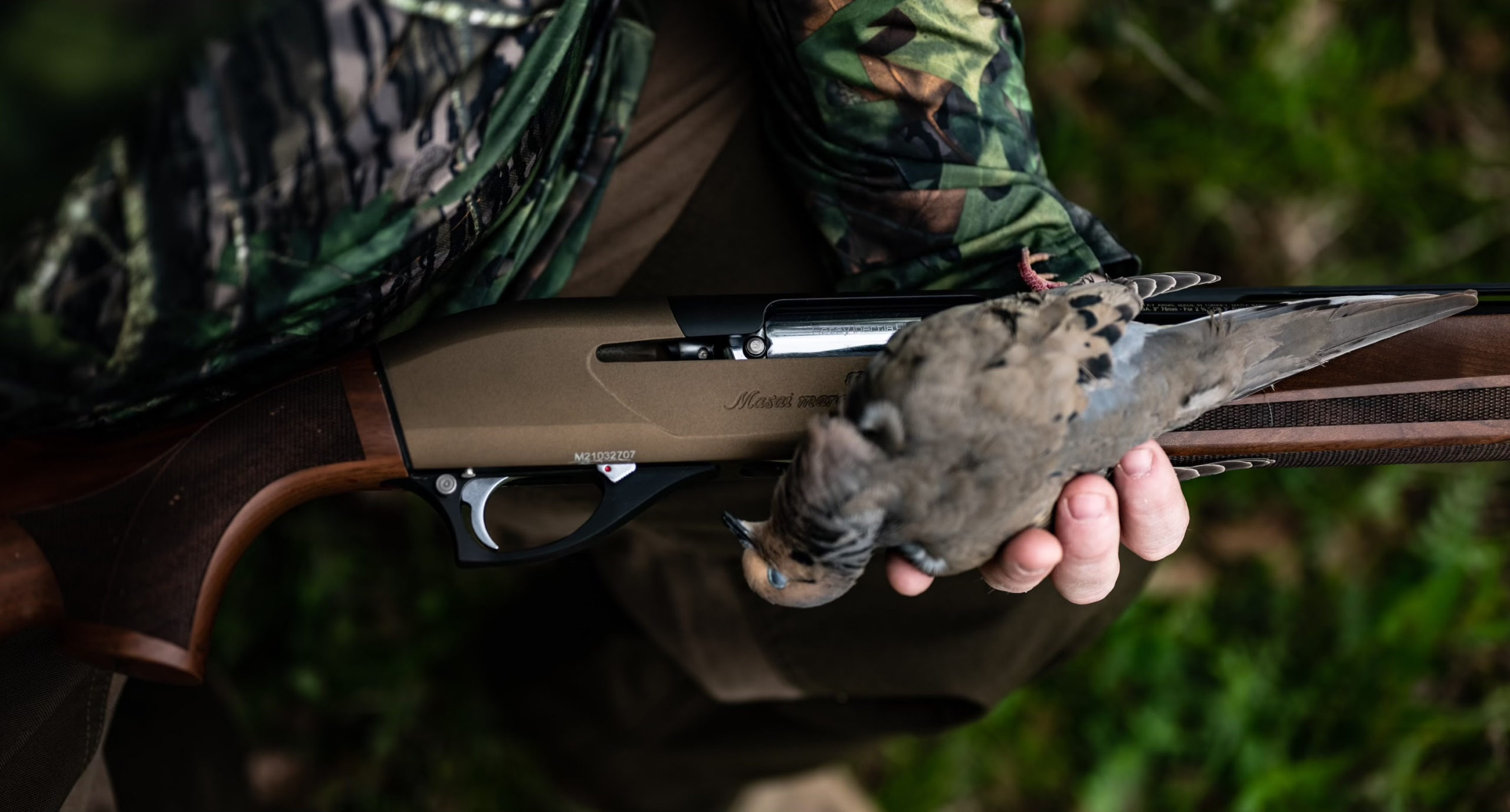 Southern Dove Season Kicks Off Fall Hunting